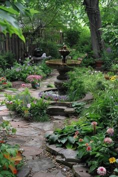 a garden filled with lots of plants and flowers