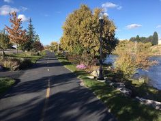 an empty street next to a river with trees on both sides and bushes in the middle