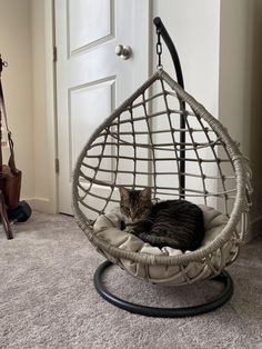 a cat is laying in a hanging chair