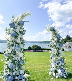 two tall white and blue flowers are on the grass by the water in front of an rv