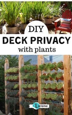 diy deck privacy with plants