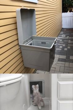 there is a small dog in the back yard and an image of a toilet outside