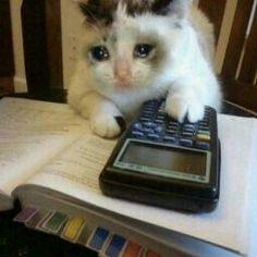 a cat sitting on top of an open book next to a calculator