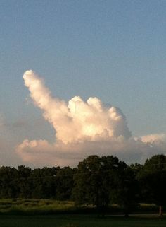 a large cloud is in the sky above some trees