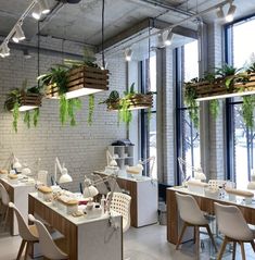 a dining room filled with lots of white chairs and plants hanging from the ceiling above them