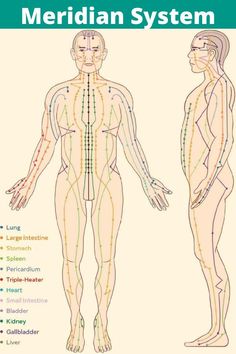 There are 12 major meridians, which are associated with our body’s major organs, and along these meridians are 350 acupuncture points. Each of these acupuncture points also correlates to an organ and more specifically, a particular function of that organ. Meridians Energy Charts, Meridian System, Ancient Medicine, Acupressure Mat