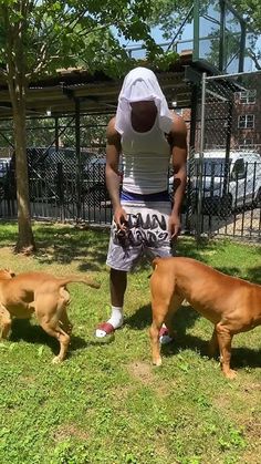 a man standing in the grass with three dogs