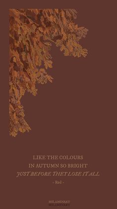 an orange and brown book cover with the title like the colours in autumn so bright, you're that looks fall