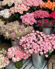 several buckets filled with pink and white flowers