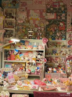 a room filled with lots of stuffed animals and other stuff on the wall next to shelves