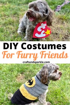 a dog wearing a sweater that says diy costumes for furry friends