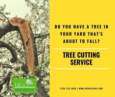 a tree that has been cut down with the words do you have a tree in your yard that's about to fall?