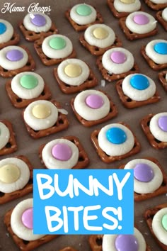 there are many cookies that have been made to look like bunnies