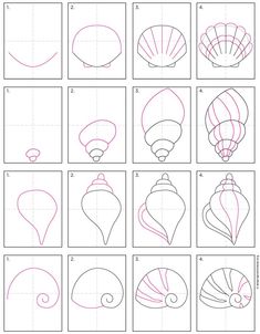 how to draw seashells step by step