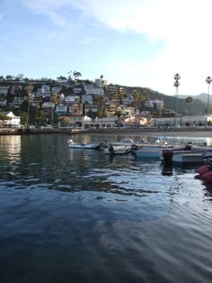 several boats are docked in the water near some houses and palm trees on top of a hill