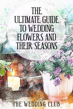 the ultimate guide to wedding flowers and their seasons