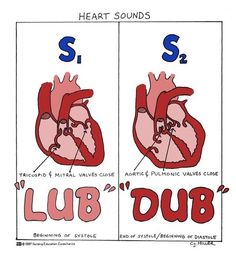 two pictures with the words s and s on them, one shows a pair of heart valves