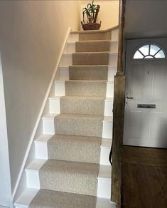 there is a plant on top of the carpeted stairs in front of the door