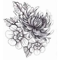 a black and white drawing of some flowers