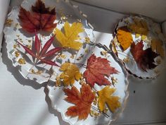 three plates with autumn leaves on them