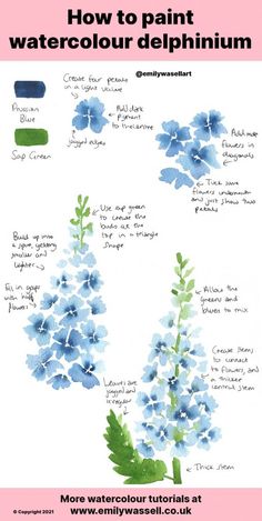 blue flowers with green leaves and the words how to paint watercolour delphiniumum