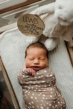 a baby wrapped in a blanket next to a stuffed animal