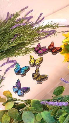 there are many butterflies that are on the table