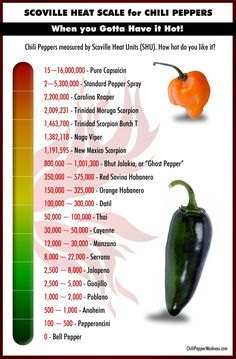 an info sheet showing the different types of peppers and how they are used to cook them