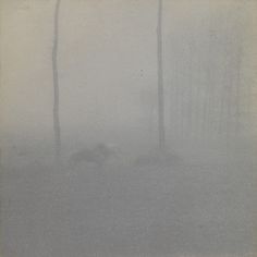 an old photo of trees in the fog