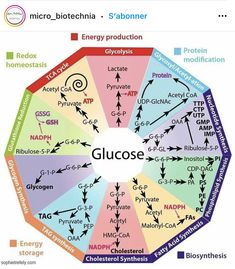 the gluose wheel is labeled in several different colors and symbols, including