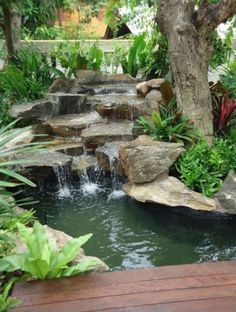 a small pond in the middle of a garden