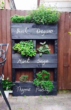 a wooden pallet filled with different types of plants