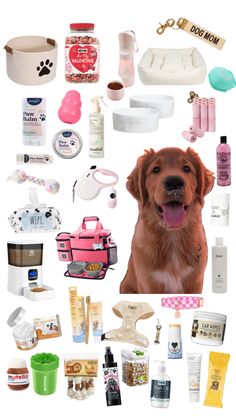 a collage of dog products and grooming products on a white background with a brown dog's face