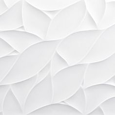 an abstract white wallpaper with wavy lines and curves in the center, as well as leaves on it