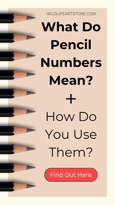 Graphite Pencil Grades Explained: Best Drawing Pencils For Sketching: Types Of Drawing Pencils, Pencil Types And Uses, Where To Shade And Highlight Drawing, How To Learn Pencil Shading, How To Hold A Pencil For Drawing, How To Use Graphite Pencils, What Pencils To Use For Drawing, Drawing With Graphite Pencils, Drawing Pencils Guide