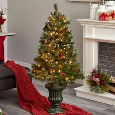 a small christmas tree in a pot on the floor next to a couch and fireplace