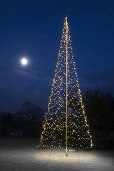 a lighted christmas tree in the middle of a park