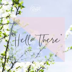 the words hello there are written in cursive font on a background of white flowers