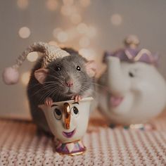 a mouse sitting in a cup with a hat on it's head and another toy behind it