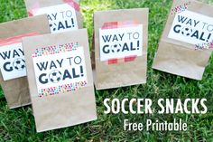 three paper bags with the words way to goal on them sitting in the grass next to each other