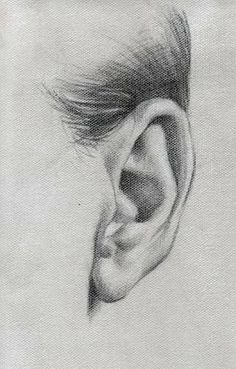 a pencil drawing of a person's ear