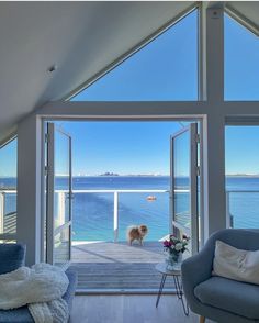 there is a dog that is standing in the living room looking out at the water