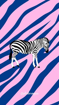 a zebra standing on top of a purple and blue background