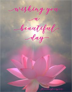 a pink lotus flower with the words wishing you a beautiful day on it's side