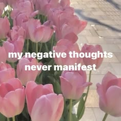 pink tulips with the words, my negative thoughts never manifest