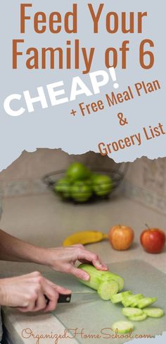 a woman cutting up vegetables on top of a counter with the words feed your family of 6