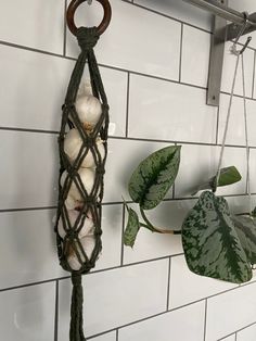 a potted plant hanging from the side of a white tiled wall next to a green leafy plant