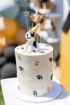 a white cake with a dog on top and stars in the sky decorationating it