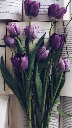 purple tulips in front of an open book