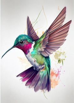 a colorful hummingbird flying in the air with its wings spread out and it's beak